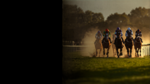 WCGRB Licence: How to Verify a SA Betting Site