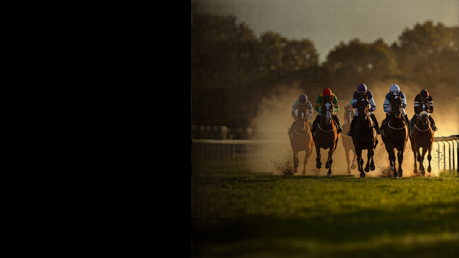 WCGRB Licence: How to Verify a SA Betting Site